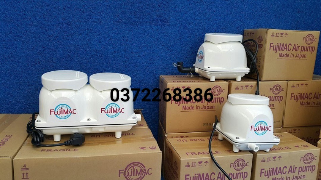 Máy thổi khí FUJIMAC JAPAN