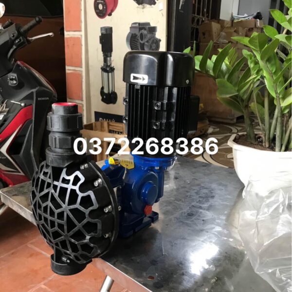 Bơm định lượng SEKO MS1C138C