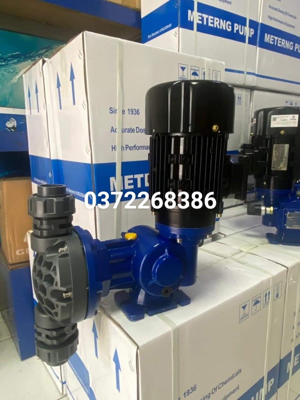 bơm định lượng elanta italy