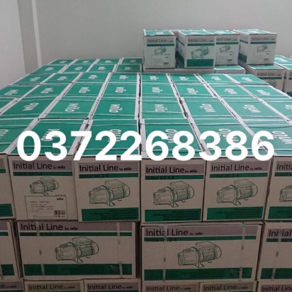 máy bơm đầu lợn WILO