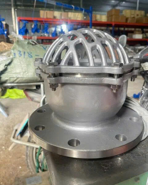 Rọ bơm inox MB DN65